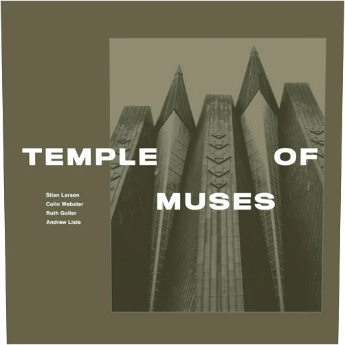 Stian Larsen, Colin Webster, Ruth Goller, Andrew Lisle (Artist) Format: Audio CD Temple of Muses