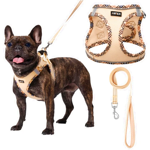 AMTOR Small Dog Harness with Leash Set, No Escape Easy Walk Puppy Harnesses for Training Walking, Step-in Reflective Soft Dogs Vest for XS S Medium Extra-Small Large Sized Dog(Beige,S)