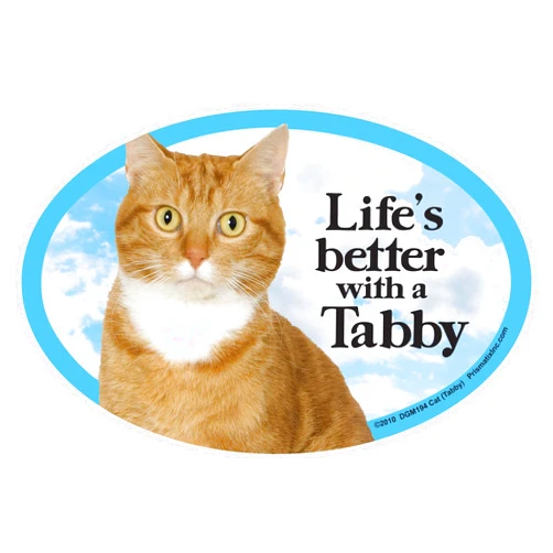 Prismatix Orange Cat (Tabby) Oval Pet Magnet for Cars - Life's Better with a Tabby - Great Gift for Cat Mom, Dad, or Lovers - Measures 6 x 4 inches