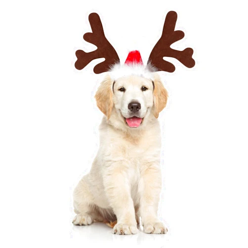 BWOGUE Dog Elk Reindeer Antler Headband with Santa Hat Pet Pet Christmas Costume Headwear Accessories for Dogs and Cats