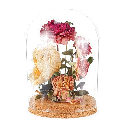 BENECREAT Glass Display Dome Cloche 4.9x6.5 inch, Glass Bell Jar with Cork Base Glass Bottles Decorative Jars for Flower Plants, Specimens, Crafts Decorations, ID: 11.6cm/4.5 inch