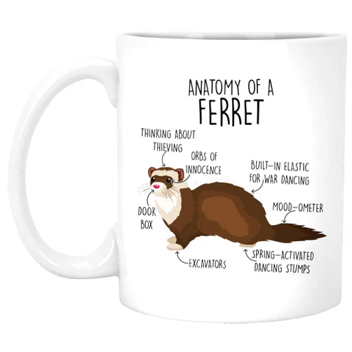 GreenStar Gifts Ferret Coffee Mug, Cute Ferret Gift, Ferret Lover, Pet Ferret Cup, Gift For Her, Him, Housewarming, Birthday, Ferret Mom Dad, Sable, Anatomy Mug 11oz