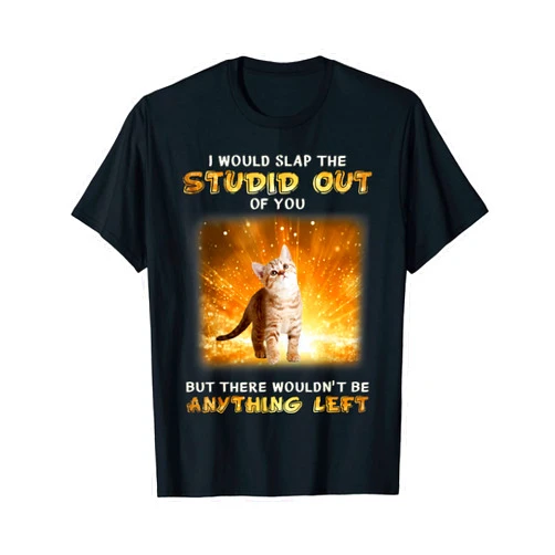 I Would Slap The Stupid Out Of You But There T-Shirt