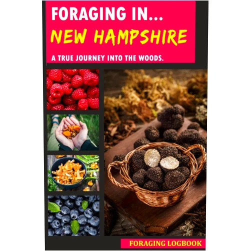 Nery E. Hayslett Foraging in New Hampshire: Foraging Log Book for Local Backyard Gatherers | A True Journey into the Woods