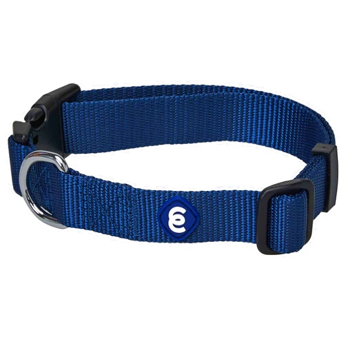 Blueberry Pet Essentials Matching Small Dog Collar | Adjustable Classic Solid Color Nylon Dog Collars for Small Dogs | True Navy Dog Collar for Small Dogs