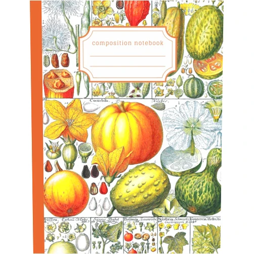 The Irregular Biologist,The Stationery Scientist Vintage Fall Pumpkin Print Composition Notebook: Autumn back to school stationery gift for nature lovers, biologists and students