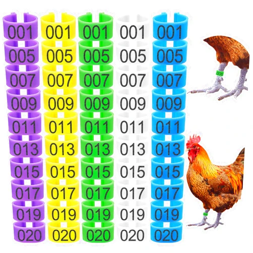 Keedolla 100Pcs 16mm Chicken Leg Rings 5 Colors Numbered Chicken Identification Leg Bands, Poultry Leg Bands Chicken Foot Rings for Ducks Chicks Bantam Guinea Pigeons Goose Gamefowl - Medium