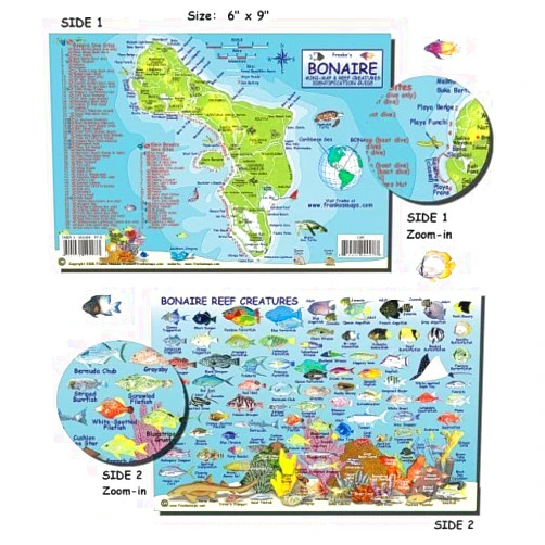 FrankosMaps Franko Laminated Maps - Fish ID and Maps - Bonaire Scuba Dive Diving Diver Snorkel Snorkeling Map Guide Traveling Travel