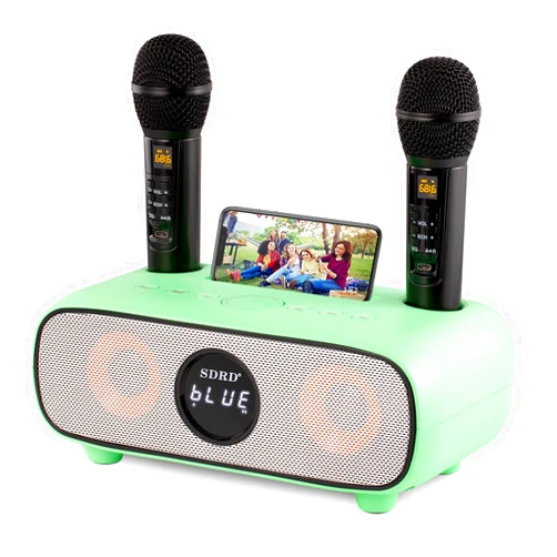 DLARA Karaoke Machine for Adults and Kids,Portable Bluetooth Karaoke Machine with Mobile Phone Holder, PA Speaker System with 2 Wireless Bluetooth Microphone Best Birthday Gift for Boys and Girls