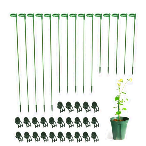 LUCKJUJU 30 Pcs Plant Support Stakes with 30 Pcs Plant Clips Garden Floral Flower Support Single Stem Support Stake for Phalaenopsis Orchid Flower Roses Amaryllis