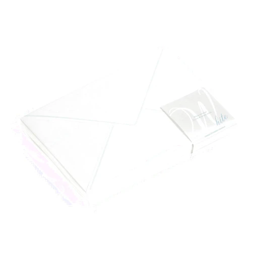 Etranger di costarica Etranger di Costa Rica EN4-01 Envelopes, Western-Style No. 2, White, 40 Sheets
