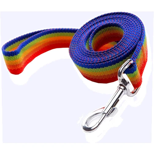 SALO Nylon Dog Leash 4 Ft 5 Feet 6 Foot Long, Walking Training Dog Leashes for Medium Large Dogs, 1 Inch Wide (1