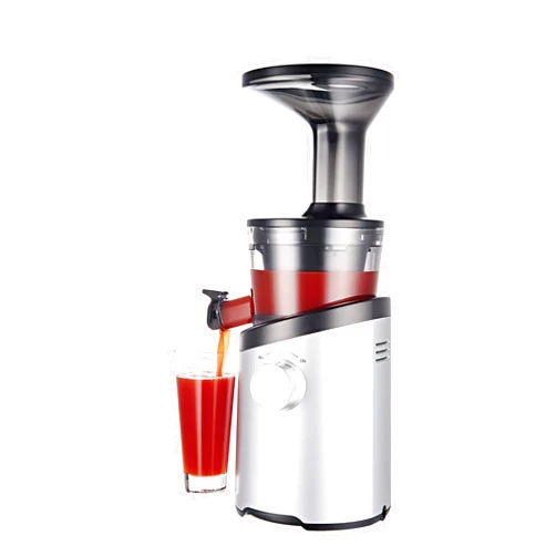 Hurom H101 Easy Clean Masticating Slow Juicer - Matte Silver