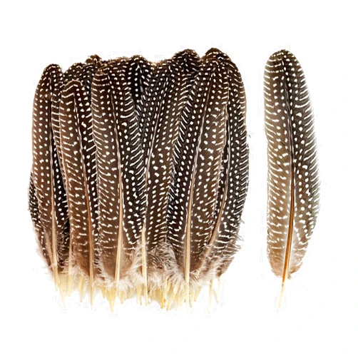 HAPPY FEATHER 6-9 inch Natural Guinea Wing Plumage Feather for DIY Craft, Jewelry and Clothing Decoration Pack of 20-Natural