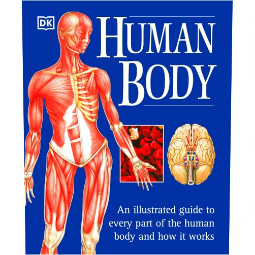 Martyn Page Human Body: An Illustrated Guide to Every Part of the Human Body and How It Works