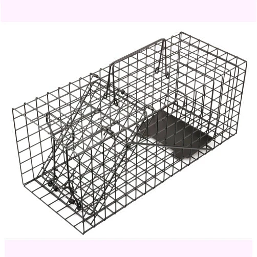 Anyhall Live Squirrel Trap Heavy Duty Humane Animal Cage Trap (No Assembly Required)