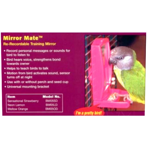 OurPet's Our Pets Mirror Mate Orange