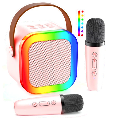 ZEBOLE Mini Karaoke Machine: Portable Bluetooth Karaoke Speaker with 2 Wireless Microphones for Family Home Party -Singing Speaker System - Stage-subwoofers (P-Ink)