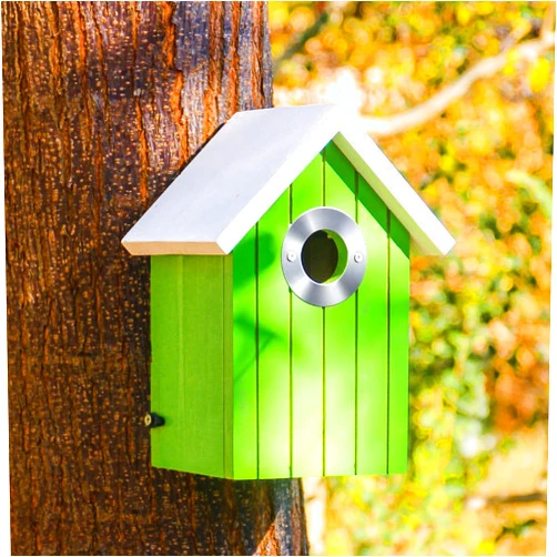 CEDAR ALPHA Cedar Bluebird House, Wooden Hanging Bird House for Outside, 1.5