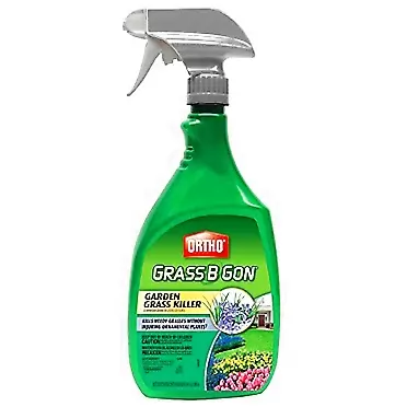Ortho 0438580 Grass B Gon Garden Grass Killer Ready-to-Use, 24-Ounce (2)