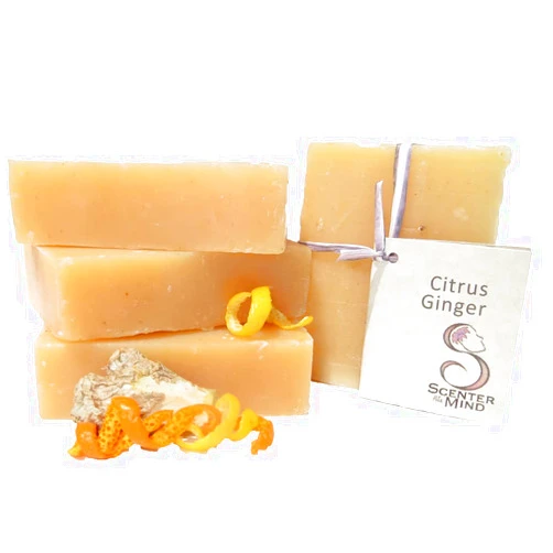 Scenter of the Mind - the original Natural Handmade Vegan Soap, Warming Citrus Ginger 4 Pack by Scenter of the Mind