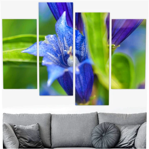SIGNLEADER Blooming CloseUp Canvas Wall Art Botanical Chic CloseUp Expressive Multicolor Photography Realism Ultram Prints Wall Art - 48