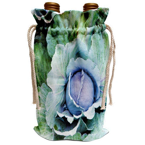 3dRose Danita Delimont - Farms - Cabbage, Harlow Farm, Westminster, Vermont - US46 JMO0327 - Jerry and Marcy Monkman - Wine Bag (wbg_95023_1)