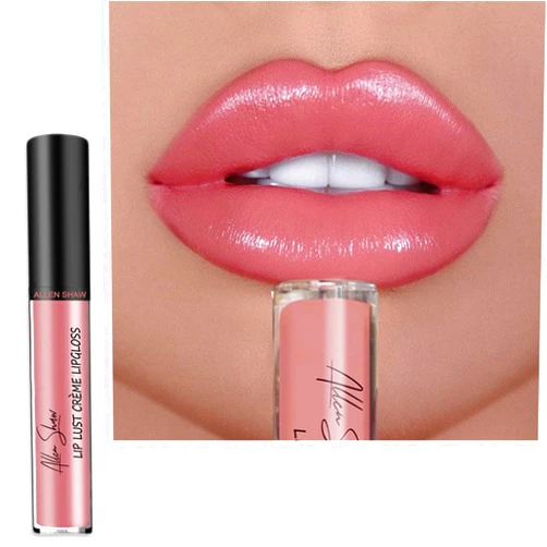 QINMAO sixthpandas 12 Color Long Lasting Moist Lip Gloss Plumper Liquid Lipstick,Cream Texture Lipstick Waterproof,Lip Lust Creme Lip Gloss Waterproof (4#)