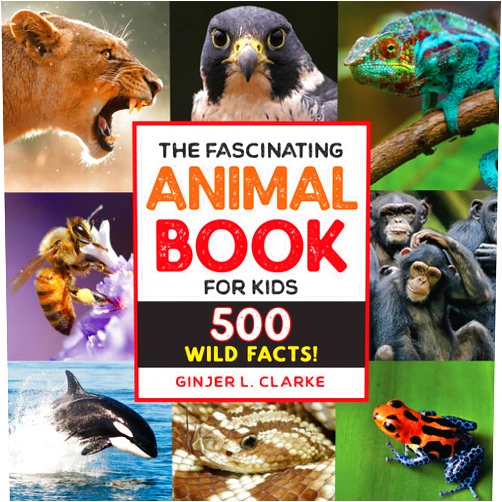 Ginjer Clarke The Fascinating Animal Book for Kids: 500 Wild Facts! (Fascinating Facts)