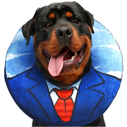 Uppys Large Dog Donut Collar - Inflatable Dog Cone Alternative for After Surgery Recovery. Donut Dog Cones for Large Dogs. Inflatable Dog Collars for After Surgery Donut Cone for Dogs. Soft Cone Dog