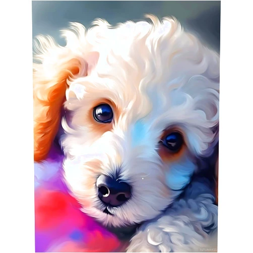 TUTUMAY21 DIY Animal Pet Diamond Painting, Poodle with Blue Eye Paint by Numbers for Beginners, Full Round Diamond Art Kits for Room Decor and Living Room Decor 30x40cm
