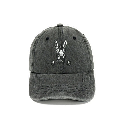 Horpe Embroidered Baseball Hats for Men and Women