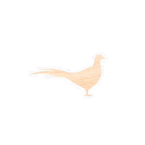 Henrik Unfinished Wood for Crafts - Wooden Pheasant Shape - Animal - Wildlife - Hunting - Craft - Various Size, 1/8 Inch Thickness, 1 Pcs
