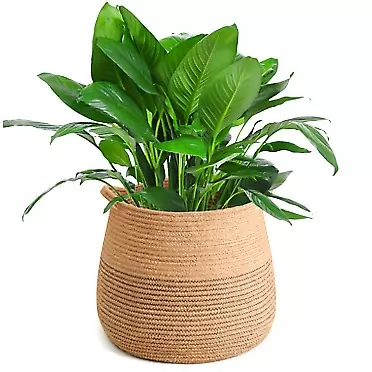 CHICVITA Jute Belly Plant Basket Woven Organizer for Storage Laundry Picnic Plant Pot Cover Brown