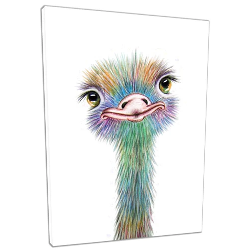 HVEST Ostrich Canvas Wall Art Watercolor Cute Animal Artwork Bird Paintings for Living Room Bedroom Bathroom Decor,Stretched and Framed Ready to Hang,12x16 inches