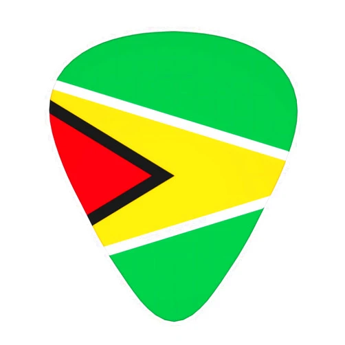 WZYCWB Flag of Guyana Guitar picks, 12-pack of wear-resistant guitar picks for guitar, bass, electric guitar, ukulele, thin, medium and heavy