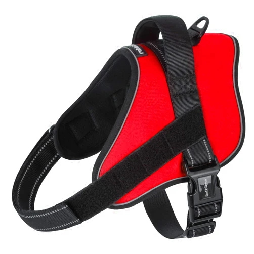 rabbitgoo Dog Harness Medium Sized, No Pull No Choke Pet Vest, Easy Wearing with One Buckle, Reflective, Adjustable Pet Harness with Molle for Walking, Training, Red, M