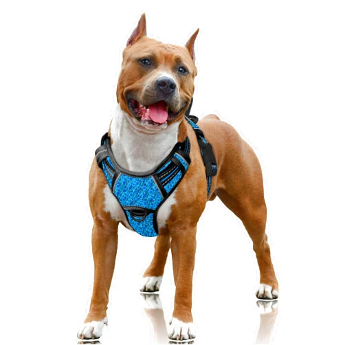 BARKBAY No Pull Dog Harness Large Reflective Dog Harness with Front Clip and Easy Control Handle for Walking Training Running with ID tag Pocket(Blue/Black,L)