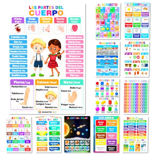 EDUMAETRIX 12 Spanish English Bilingual Educational Posters Water Proof Learning Chart for Preschool, Kindergarten, 1st Grade, Classroom Decoration, Alpabet, Alfabeto, Numbers, Seasons, Colors, Month of the