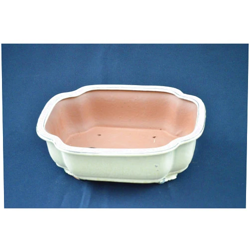 Celestial Bonsai Bonsai Ceramic Pot 10