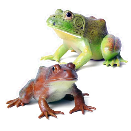 SCAHOW Realistic Tree Frog Figure Plastic Hand Painted Bullfrog Figurine Educational Rubber Animal Model Toys for Kids Children