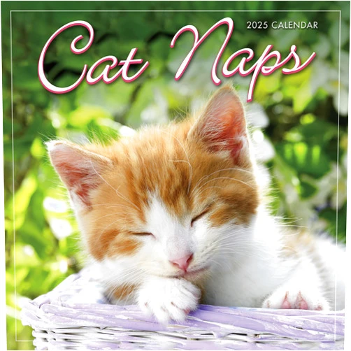 SELLERS PUBLISHING, INC. Cat Naps 2025 Mini Calendar, 7