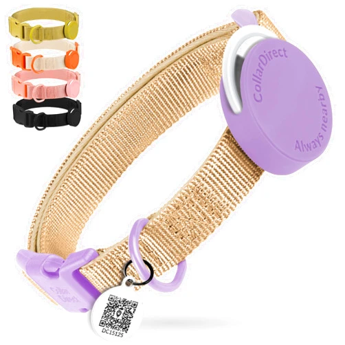 CollarDirect Airtag Nylon Dog Collar Silicon Holder Designed for Apple Airtag with QR Tags Personalized Dogs Puppies 5 Colors Black Pink Violet Green Orange (Violet, S)