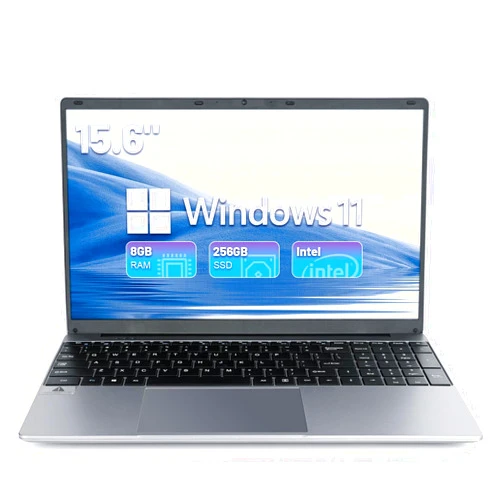 Chicbuy Laptop Computer, 8GB Memory, 256GB SSD Storage, 15.6